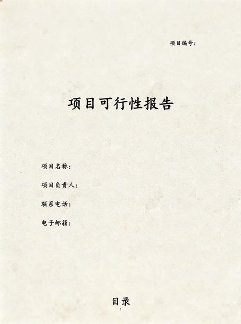 可行性报告